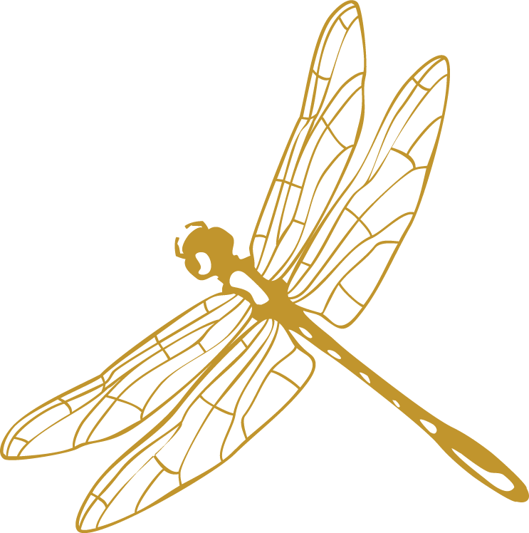 Libelula